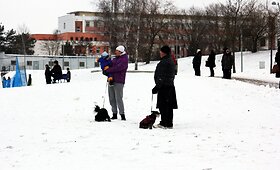 Sausio 1 dieną Jonavoje prasidėjo slidinėjimo sezonas