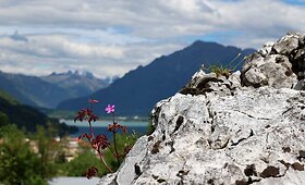 Dolomitų keliu Italijos Alpėse: nervai atlaikė, automobilis &ndash; ne