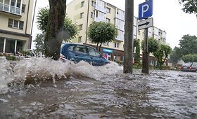 Liūtis paskandino Jurbarko centrą