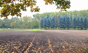 Skaitytojų sustabdytas ruduo. Paskutinė konkurso &bdquo;Rudens stebuklai&ldquo; savaitė