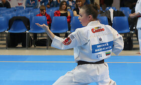 Lietuviai Europos karatė čempionate