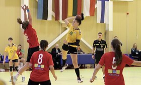 Janio Grinbergo atminimo rankinio turnyras Vilniuje