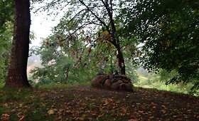 Buivydų piliakalnį papuo&scaron;ė vaikams skirtas stebuklų medis