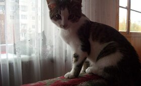 Žavioji Naomi ie&scaron;ko namų