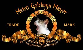 Katytė Murlin beveik kaip Merlin Monro!