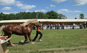 Kasmetinė &scaron;ventė 