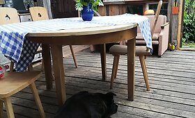 Aurelija kartu su vyru pastatė namelį i&scaron; senų langų