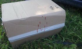 Pasieniečiai vijosi automobilį, kuriame aptikta kontrabandinių cigarečių