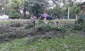 Kauniečiai tvarko audros padarinius galerija