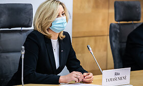 Ritos Tama&scaron;unienės, Česlavo Ol&scaron;evskio ir Kęstučio Vilkausko spaudos konferencija