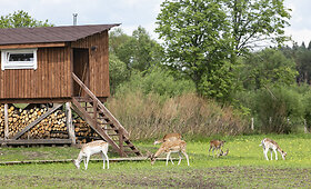 Arčiau Gamtos