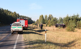 Jurbarko rajone girtas kelių gaidelis nuvertė elektros stulpą