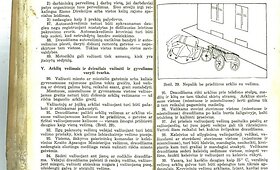 Apie įstatymus pėstiesiems i&scaron; &bdquo;Judėjimo tvarkos nuostatų&ldquo;