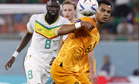 Pasaulio čempionatas: Nyderlandai &ndash; Senegalas