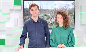 15min studijoje - dokumentinio filmo &bdquo;Rūg&scaron;tus mi&scaron;kas&ldquo; kūrėjai
