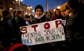 Mitingas protestuojant dėl i&scaron; &scaron;eimų paimamų vaikų