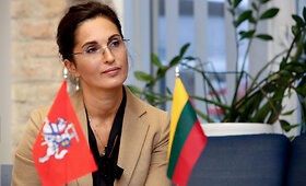 Jelena Kutkauskienė VTEK posėdyje