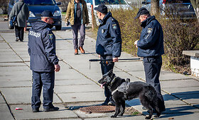 Kandidato į Ukrainos prezidentus Volodymyro Zelenskio apsauga