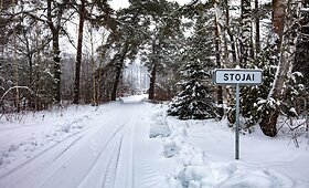 Vieningų kaimynų kaimas - Stojai