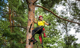 Arboristė Inga Gaidelytė