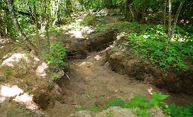 Archeologinių dirbinių plė&scaron;ikų i&scaron;kasinėtas Po&scaron;kaičių kapinynas