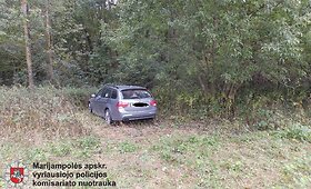 Pareigūnai rado du Vokietijoje vogtus automobilius