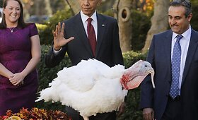 Padėkos dienos i&scaron;vakarėse JAV prezidentas Obama suteikė malonę kalakutams