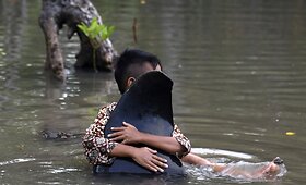 Indonezijos pelkėtoje pakrantėje rasta pora negyvų banginių