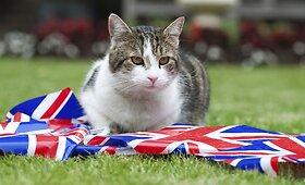 Katinas Laris liks gyventi Britanijos premjero rezidencijoje