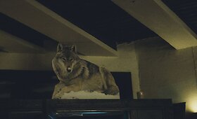 Akimirkos i&scaron; miuziklo &bdquo;Rent" atlikėjų koncerto &bdquo;La Vie Boheme @Etnobaras"