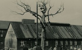 Retrospektyva &bdquo;Holokaustas: Atmintis ekrane&ldquo;