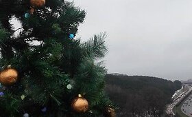 Vilniuje sužibo danguje i&scaron;keltos kalėdinės eglutės
