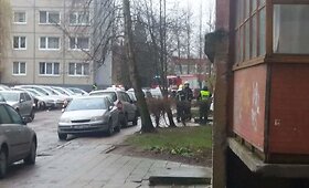 Specialiųjų tarnybų sujudimas Žardininkų gatvėje Klaipėdoje