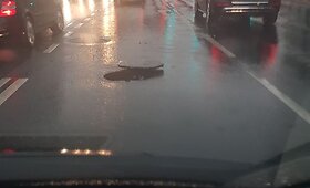 Kaune praūžė stipri liūtis: virto medžiai, skendo gatvės