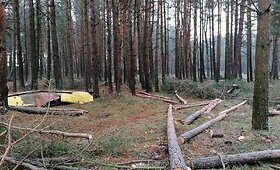 Lietuvos pareigūno žemės sklype Papėje i&scaron;pjauti medžiai