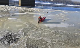 Ugniagesiai gelbėtojai Kaune vadavo lede į&scaron;alusią gulbę bei antį