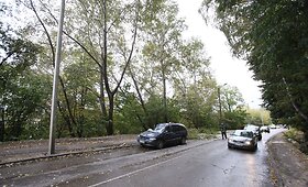 Kaune ant pravažiuojančios ma&scaron;inos užgriuvęs medis sužalojo vairuotoją