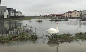 Užlieti sklypai Romainiuose