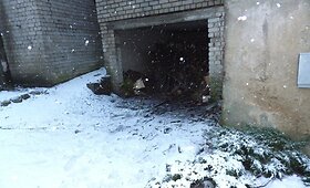 Tel&scaron;iuose policija i&scaron;ai&scaron;kino malkų vagi&scaron;ius