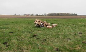 Kontrabandininkai rūkalus vežė karučiais