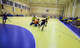 2015 metų uždarų patalpų riedulio &bdquo;Žalgirio&ldquo; taurės turnyras