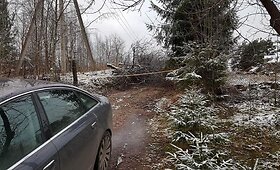 Nerijaus Ju&scaron;kos kaimynas medžiais užvertė kelią