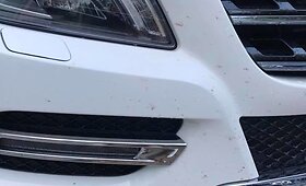 Viktorijos Siegel automobilis po plovimo