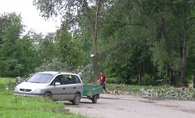 Kauniečiai pasinaudojo audra ir pjovė net ir sveikus medžius! galerija