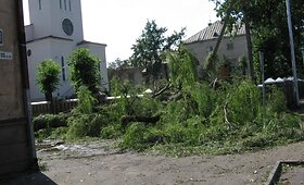 Petra&scaron;iūnai po audros galerija
