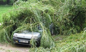 Vėtros padariniai Petra&scaron;iūnuose galerija