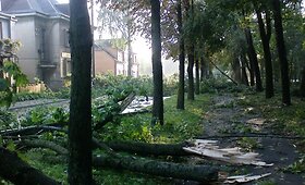 Rytas Kaune, Vydūno alėjoje galerija