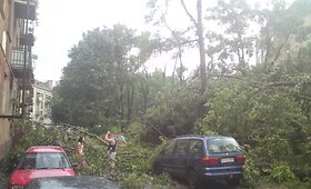Petra&scaron;iūnai po audros galerija