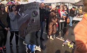 Vienintelė Tel&scaron;iuose gyvūnų prieglauda &bdquo;Tel&scaron;ių uodegėlė&rdquo;. &bdquo;Tel&scaron;ių uodegėlės&rdquo; nuotr.