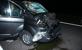 Panevėžio rajone į kelią i&scaron;bėgusį briedį kliudė du automobiliai ir vilkikas